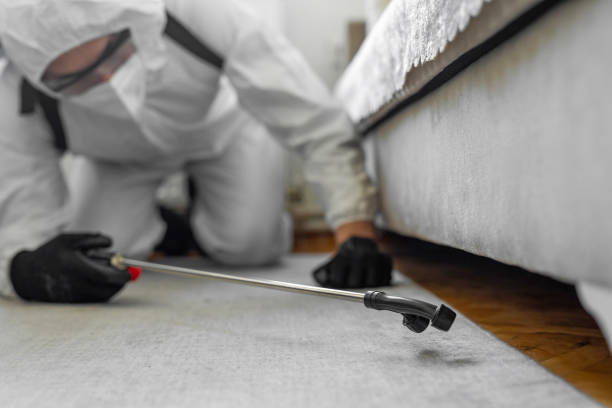 Professional Termite Control technician working in Glenwood, AR